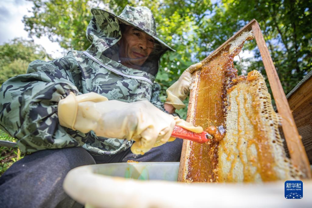 mg棋牌科技
